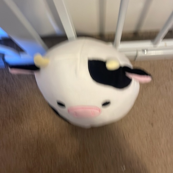 Connor the cow squishmallow - Picture 4 of 6